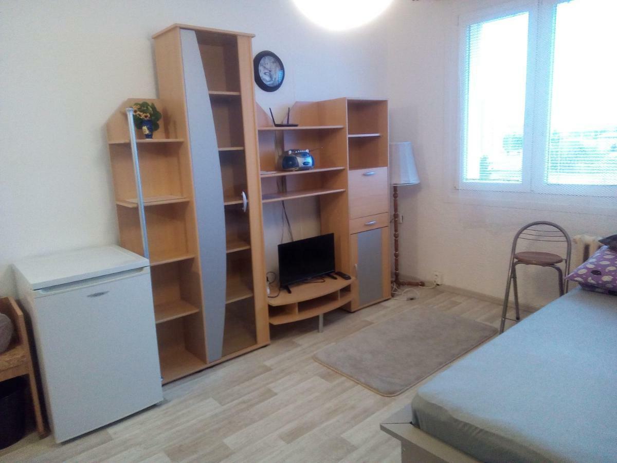 Studio Type Lejlighed Plzeň Eksteriør billede